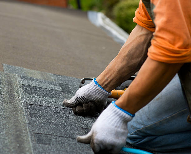 Best Roof Waterproofing Services  in South Bend, WA